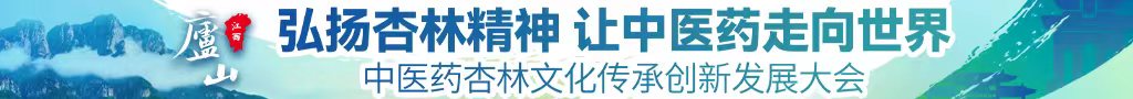 中国美女BB日中医药杏林文化传承创新发展大会